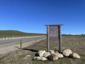 エレファント・ロック