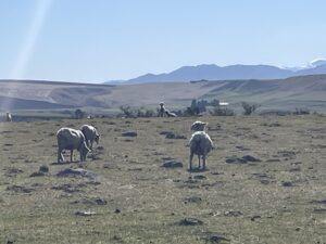 エレファント・ロック