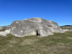 エレファント・ロック