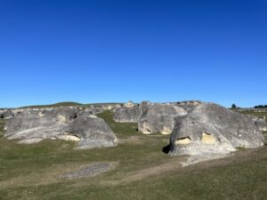 エレファント・ロック