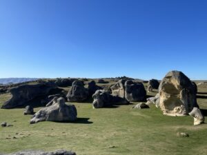 エレファント・ロック