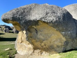 エレファント・ロック