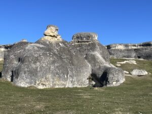 エレファント・ロック