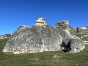 エレファント・ロック