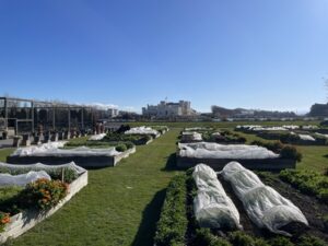 リバーストーン城