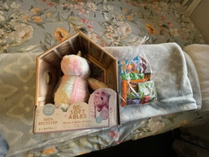 アッシュバートンの宿