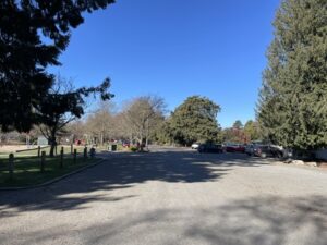 アッシュバートン・ドメイン