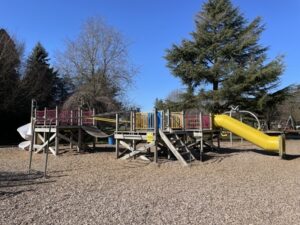 アッシュバートン・ドメイン