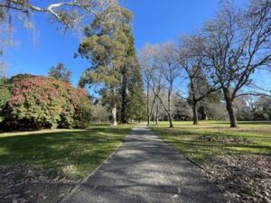 アッシュバートン・ドメイン