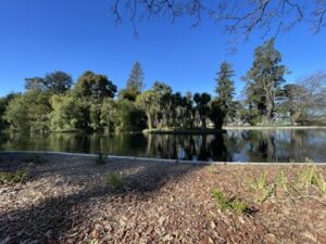 アッシュバートン・ドメイン