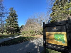 アッシュバートン・ドメイン