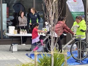 アシュバートン図書館