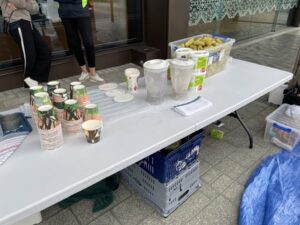 アシュバートン図書館