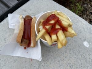 アシュバートン図書館