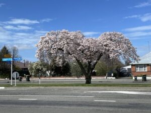 アッシュバートンの宿